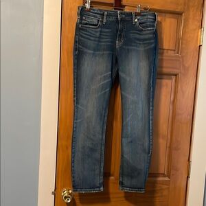 Silver Jeans Co Suki Straight Leg Jeans with Medium Rise